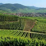 La Canopee Alsacienne - Magnifique Maison A Holiday home Ribeauville (Haut-Rhin)