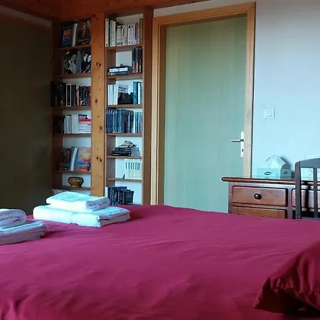 La Canopee Alsacienne - Magnifique Maison A *