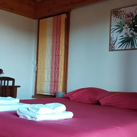 La Canopee Alsacienne - Magnifique Maison A *