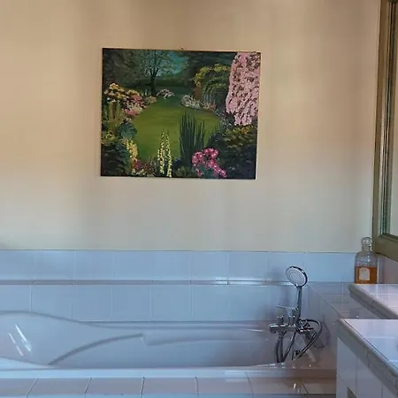 La Canopee Alsacienne - Magnifique Maison A Hébergement de vacances Ribeauvillé