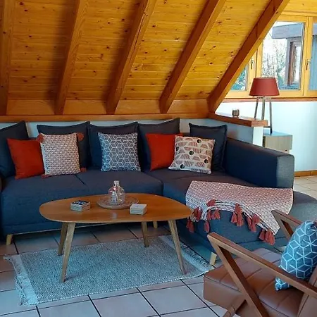 La Canopee Alsacienne - Magnifique Maison A Holiday home