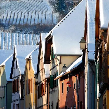 La Canopee Alsacienne - Magnifique Maison A *