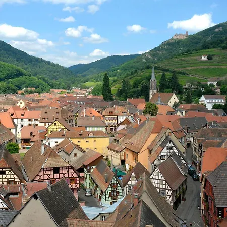 La Canopee Alsacienne - Magnifique Maison A Сasa de vacaciones *