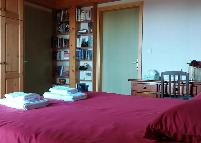 La Canopée Alsacienne - Magnifique Maison à *