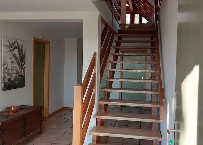 La Canopée Alsacienne - Magnifique Maison à Hébergement de vacances *