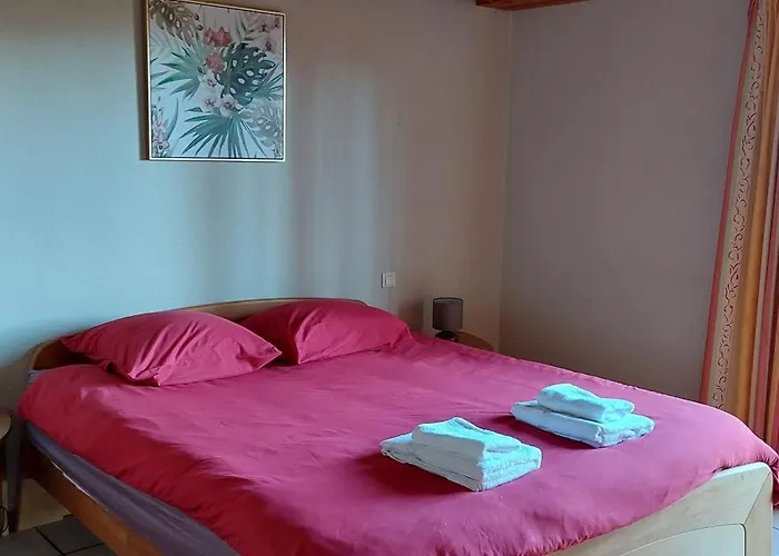 Hébergement de vacances La Canopée Alsacienne - Magnifique Maison à *