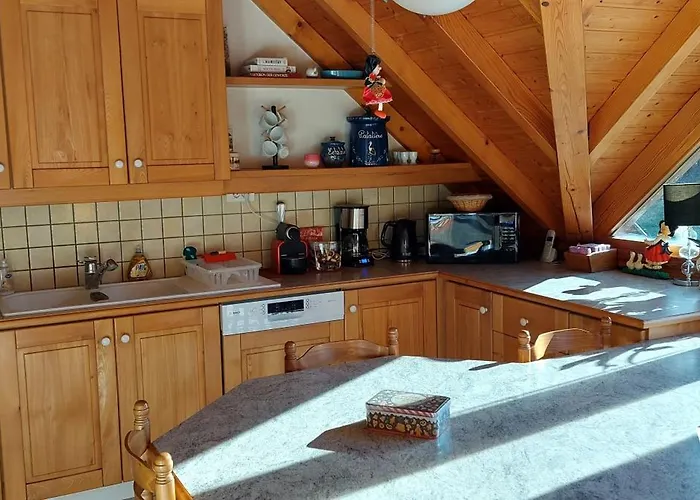La Canopée Alsacienne - Magnifique Maison à Hébergement de vacances *