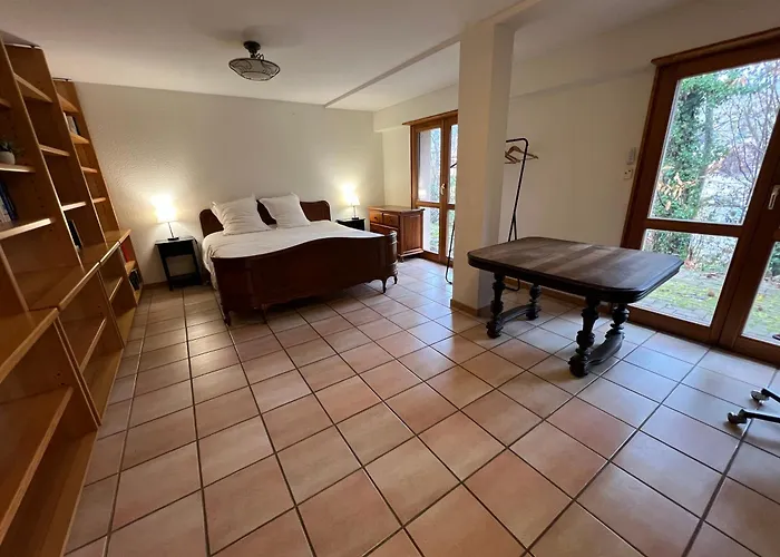 La Canopée Alsacienne - Magnifique Maison à