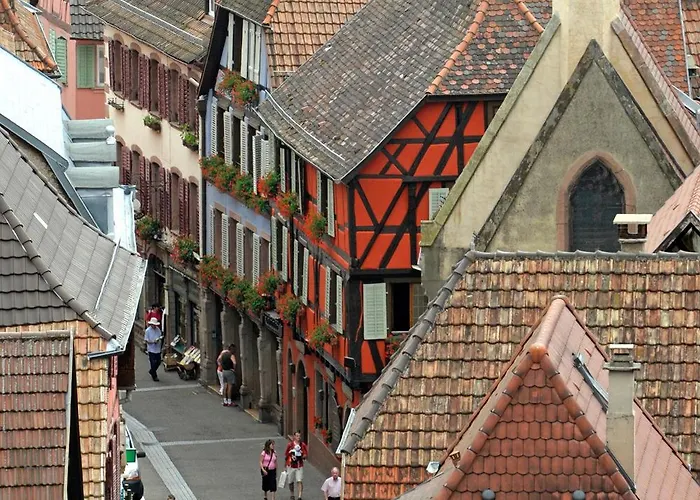 Hébergement de vacances La Canopée Alsacienne - Magnifique Maison à *
