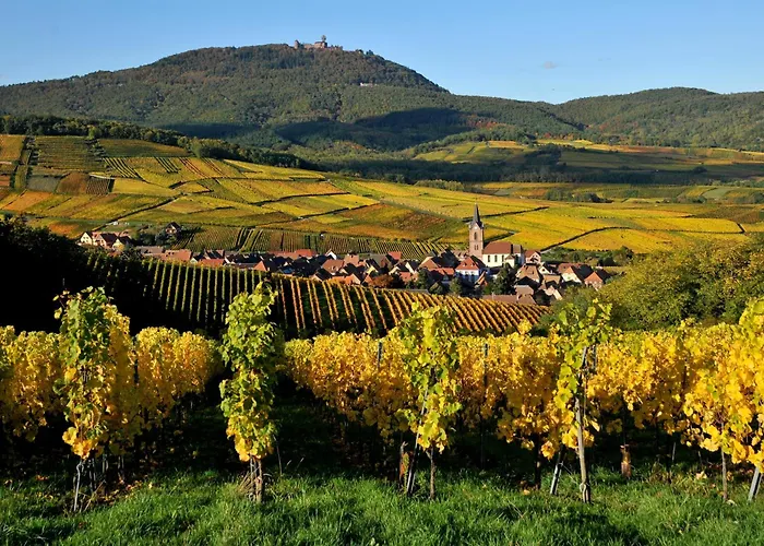 La Canopée Alsacienne - Magnifique Maison à * Ribeauvillé